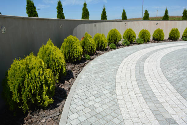 Best Permeable Paver Driveway  in Astor, FL